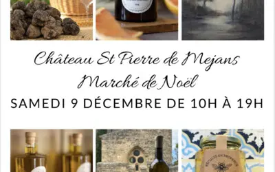 Joséphine au marché de Noël du château Saint-Pierre de Mejans, le samedi 9 décembre